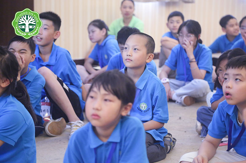 少年领袖特训营学员风采(图4)