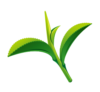 1-191203143P3217.png